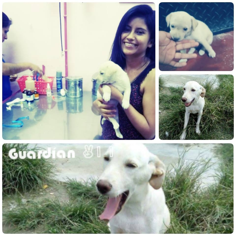 Maribel Villegas Requejo