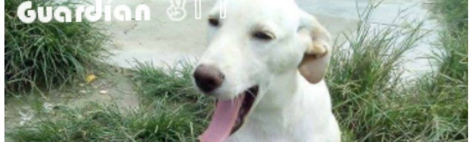 Maribel Villegas Requejo