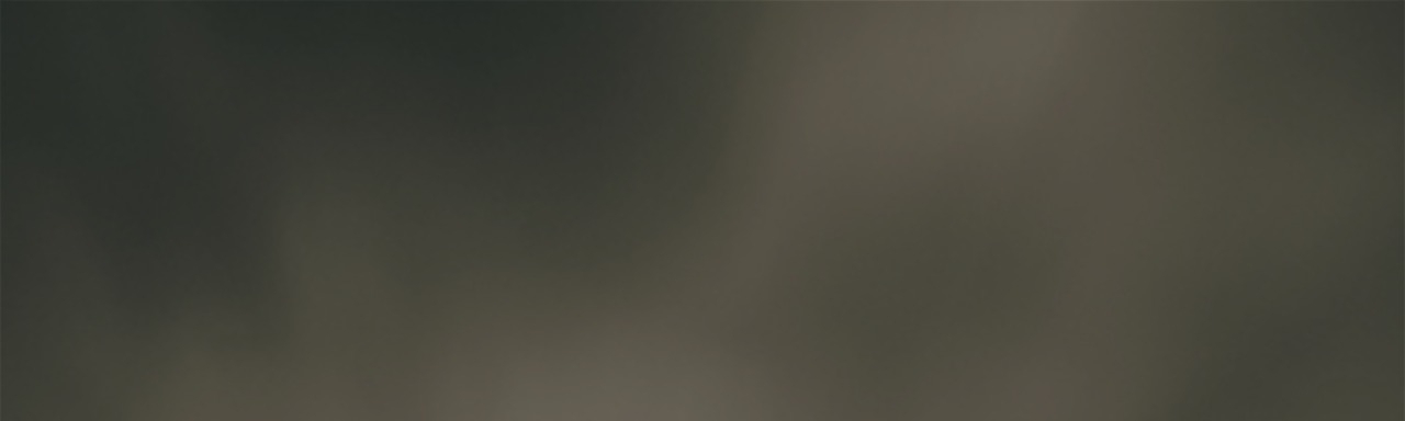 Maribel chambilla vega