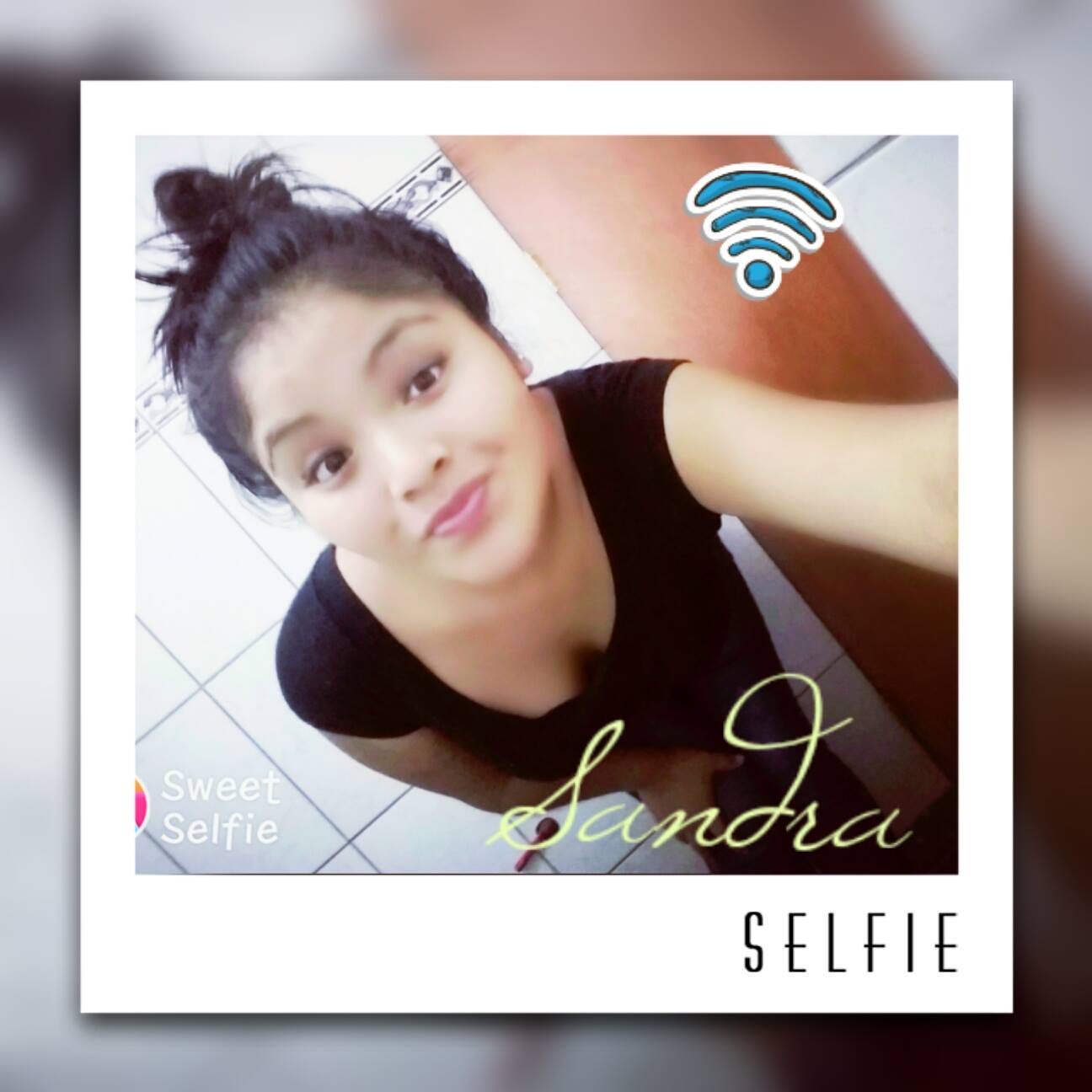 sandra luz nuñez meneses