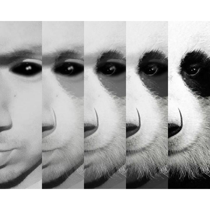 Jey Thyrone Melgarejo