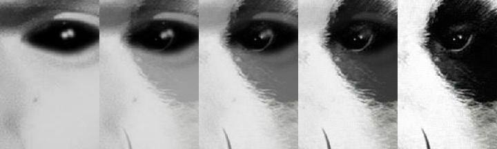 Jey Thyrone Melgarejo