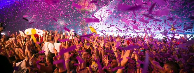 luis fernando canepa gomez