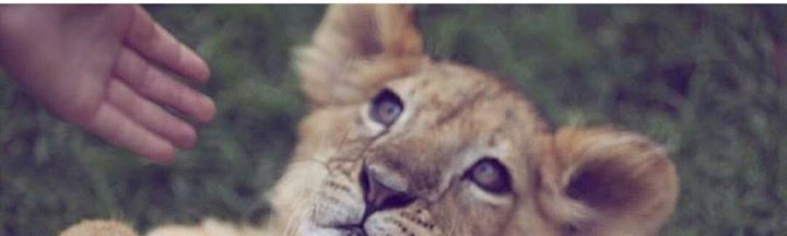 Giddel Ermis Sandoval Banegas