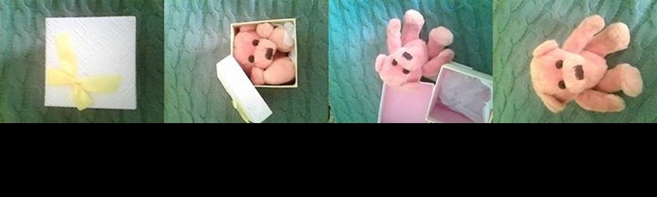 Rosy Ramirez Briones