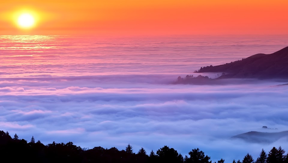 Ronald Yupanqui Sifuentes