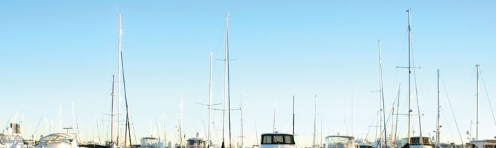 Anthony Vladimir Sch