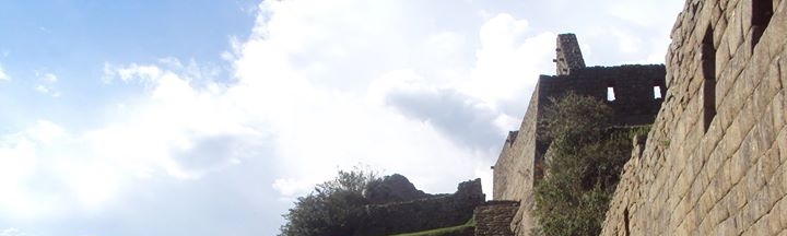 Celina Cardenas Cano