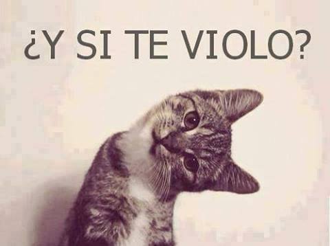 Brayan Elegand&#039;s Bl