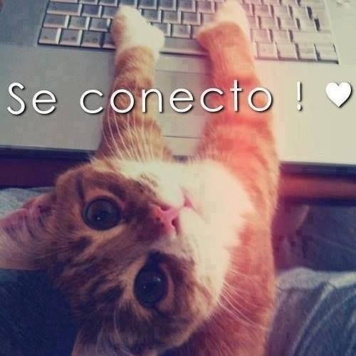 Juancitho ThvLokitho Inoñan Villegas