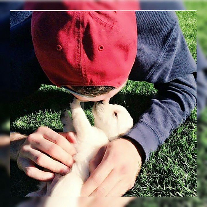 Luis Anthony Escalante Infante