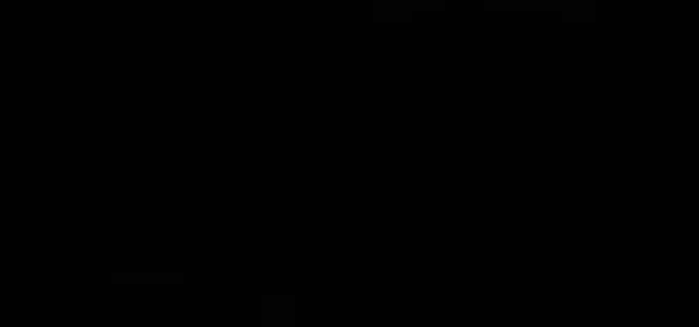 Piero Gonzales Pariona