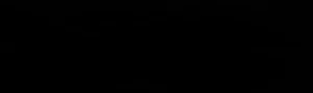 Piero Gonzales Pariona