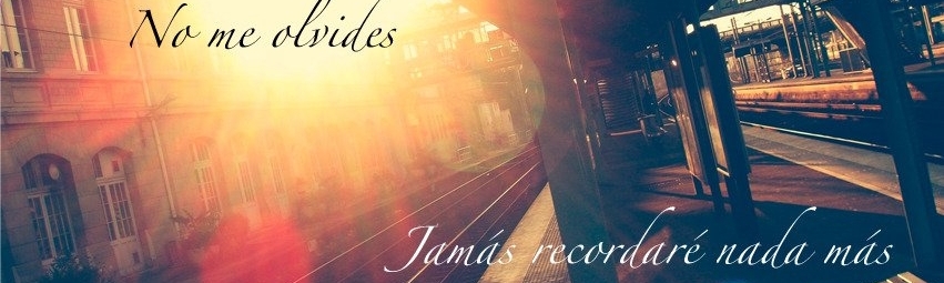 edwin edison huanca mamani