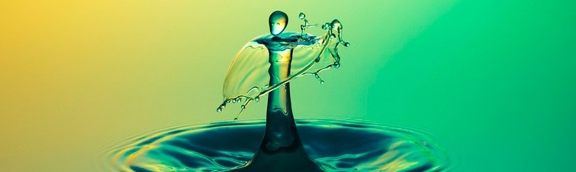 Clisman Donadony Naupa Florecin